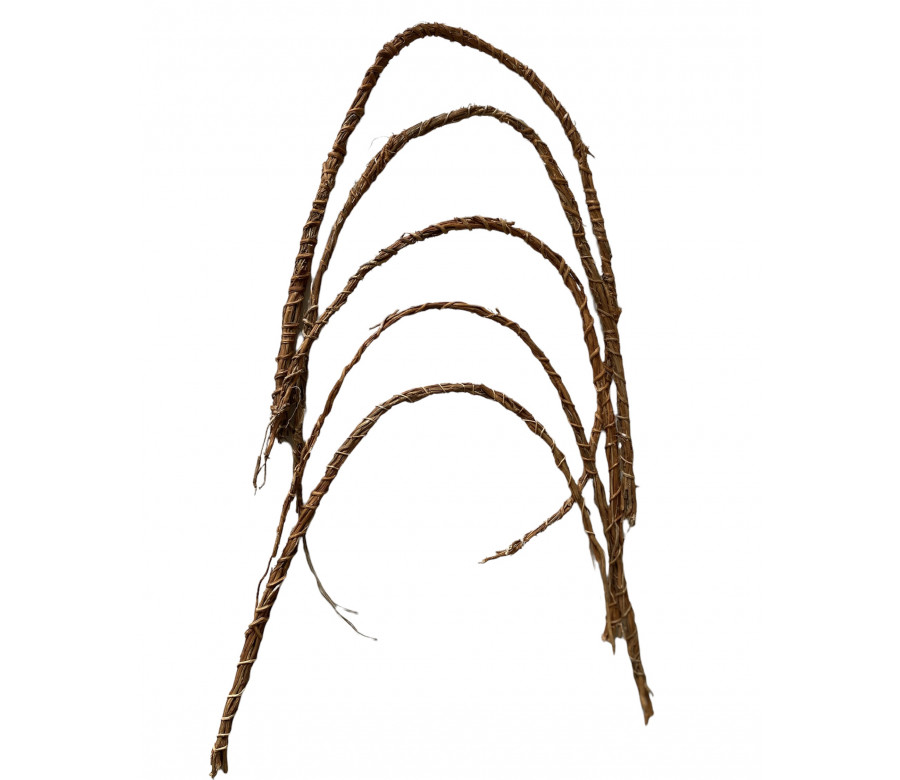 Khamaré ( Segou ) racine de vétiver, gongoli - Sepp - 20 Tiges